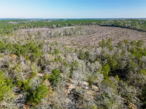 176 Hesters Loop, Perkinston, MS 39573 photo 4