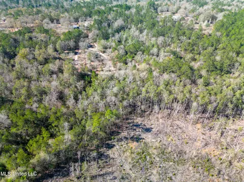 176 Hesters Loop, Perkinston, MS 39573 photo 13