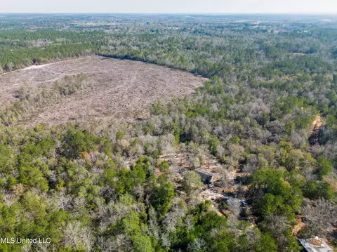 176 Hesters Loop, Perkinston, MS 39573 photo 3