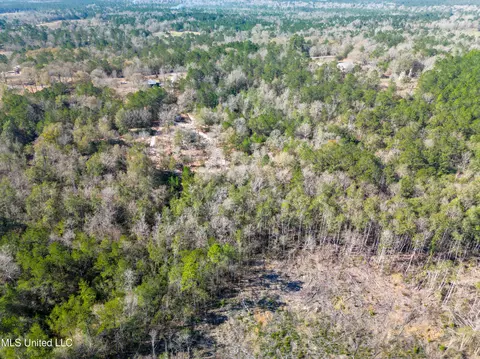 176 Hesters Loop, Perkinston, MS 39573 photo 14