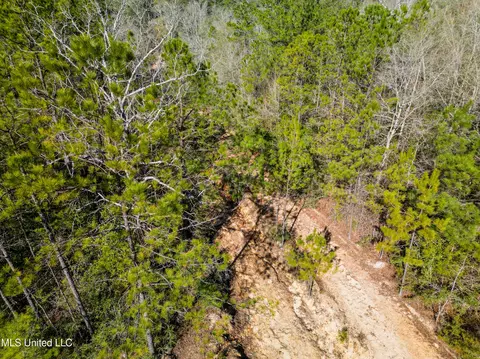 176 Hesters Loop, Perkinston, MS 39573 photo 8