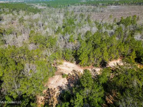 176 Hesters Loop, Perkinston, MS 39573 photo 6