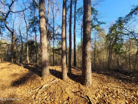 Fortune Trail, Walnut Grove, MS 39189