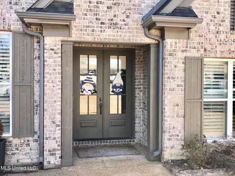 Exterior - 3815 Reghans Pl, Hernando, MS 38632 photo 2 of 6