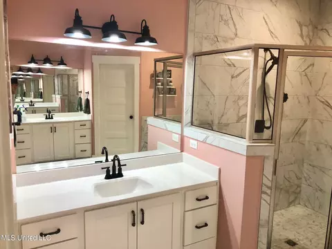 Bath - 3815 Reghans Pl, Hernando, MS 38632 photo 3 of 7