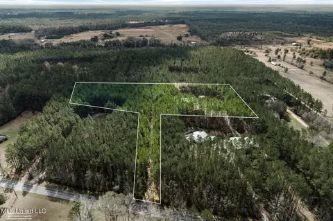 View/Area - 1189 Grain Elevator Rd, Lucedale, MS 39452 photo 2 of 2
