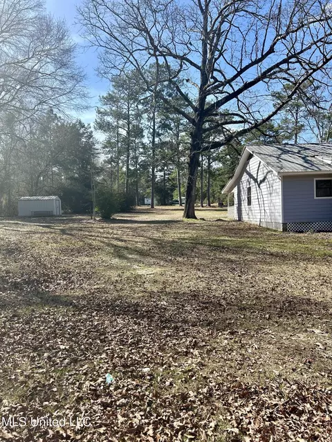 Exterior - 19 Pine Trail Rd, Perkinston, MS 39573 photo 10 of 11