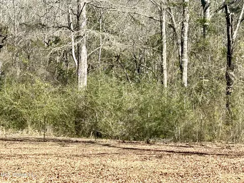 Other - 19 Pine Trail Rd, Perkinston, MS 39573 photo 11 of 12