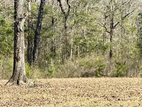 Other - 19 Pine Trail Rd, Perkinston, MS 39573 photo 12 of 12
