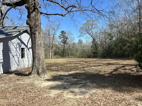 Exterior - 19 Pine Trail Rd, Perkinston, MS 39573 photo 3 of 11