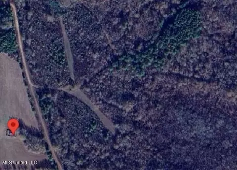 Carthage, MS Homes For Sale & Real Estate - Movoto