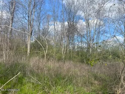 Townsend Road, Mendenhall, MS 39114 photo 3