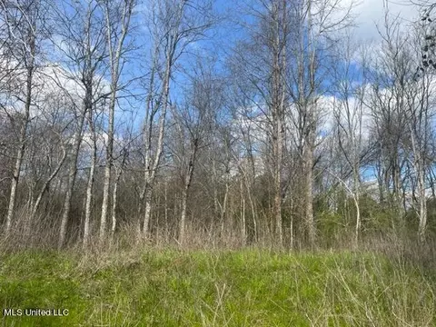 Townsend Road, Mendenhall, MS 39114 photo 2