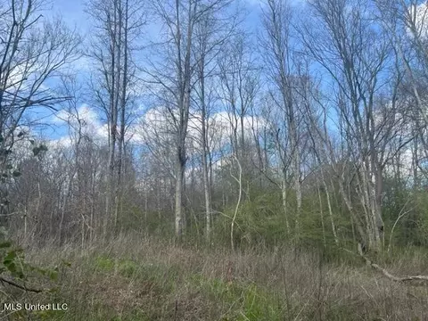 Townsend Road, Mendenhall, MS 39114