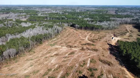 1 Decatur Stratton Rd, Decatur, MS 39327