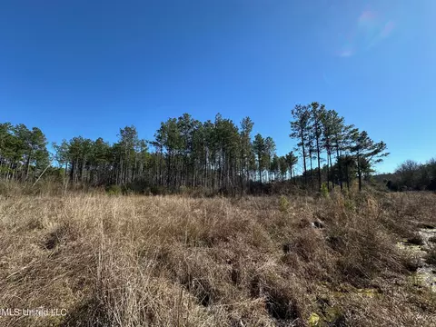0 Stratton Rd, Decatur, MS 39327 photo 6