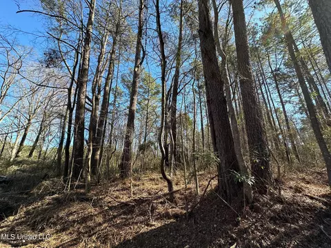 0 Stratton Rd, Decatur, MS 39327 photo 3