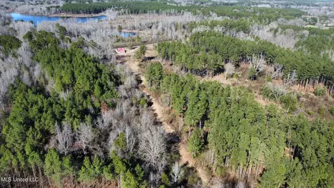 0 Stratton Rd, Decatur, MS 39327 photo 9