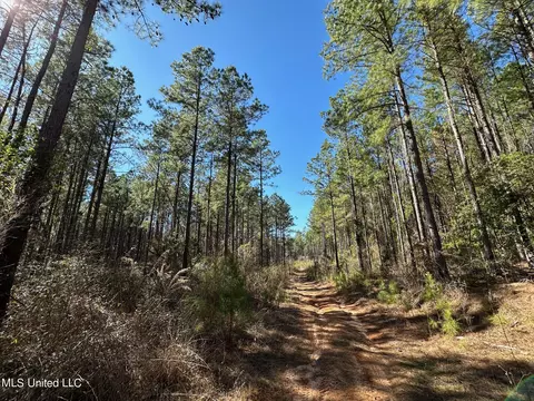 1 Floyd Rowzee Rd, Union, MS 39365 photo 3