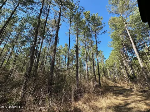 1 Floyd Rowzee Rd, Union, MS 39365 photo 2