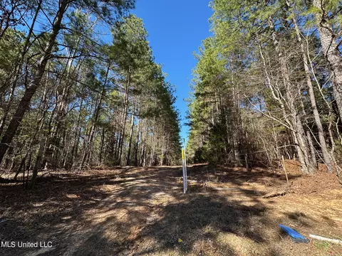 1 Floyd Rowzee Rd, Union, MS 39365 photo 11