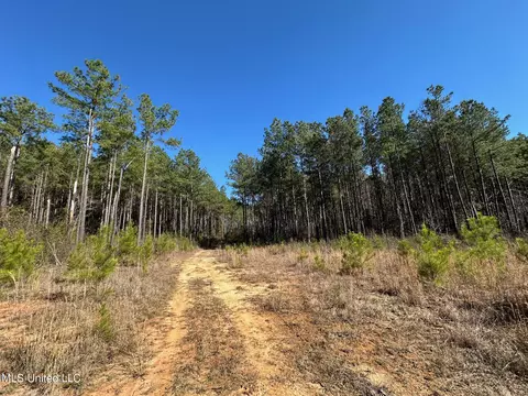 1 Floyd Rowzee Rd, Union, MS 39365 photo 9