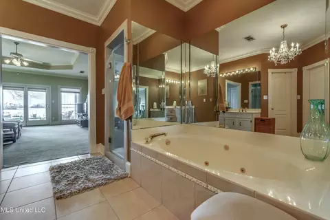 Bath - 145 Northwind Dr, Brandon, MS 39047 photo 4 of 8