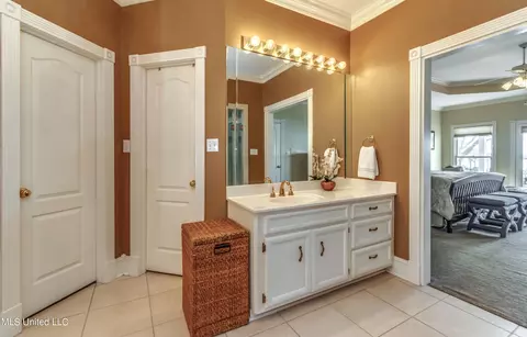 Bath - 145 Northwind Dr, Brandon, MS 39047 photo 6 of 8