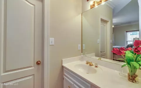 Bath - 145 Northwind Dr, Brandon, MS 39047 photo 8 of 8