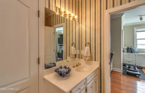 Bath - 145 Northwind Dr, Brandon, MS 39047 photo 7 of 8