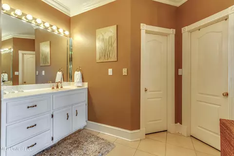 Bath - 145 Northwind Dr, Brandon, MS 39047 photo 5 of 8