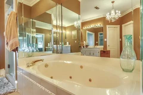 Bath - 145 Northwind Dr, Brandon, MS 39047 photo 3 of 8