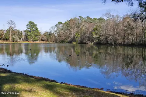 View/Area - 145 Royal Lytham, Jackson, MS 39211 photo 3 of 3