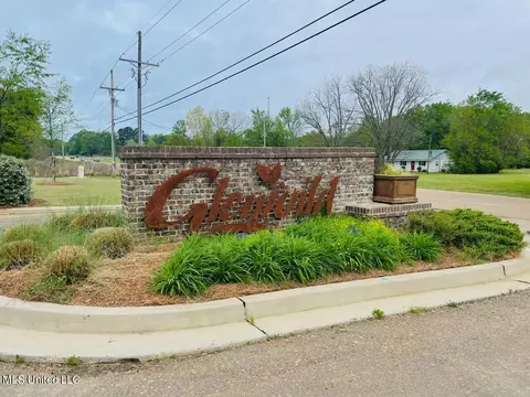 Exterior - 874 Glenwild Cir, Canton, MS 39046 photo 16 of 16