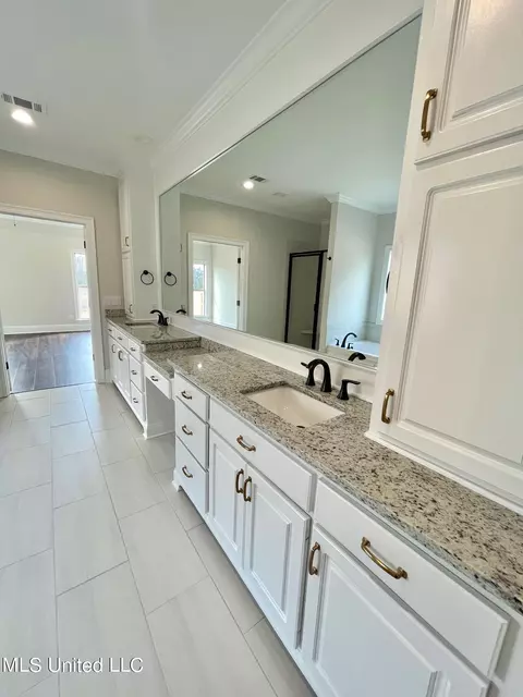 Bath - 874 Glenwild Cir, Canton, MS 39046 photo 3 of 8