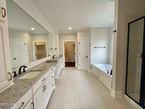 Bath - 874 Glenwild Cir, Canton, MS 39046 photo 5 of 8