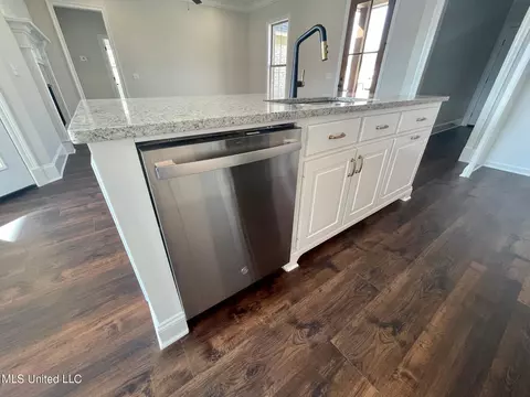 Kitchen - 874 Glenwild Cir, Canton, MS 39046 photo 5 of 5