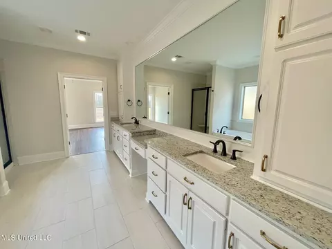Bath - 874 Glenwild Cir, Canton, MS 39046 photo 4 of 8