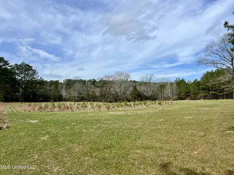 Hwy 24, Liberty, MS 39645