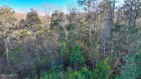 Shipman Road, Lucedale, MS 39452 photo 4