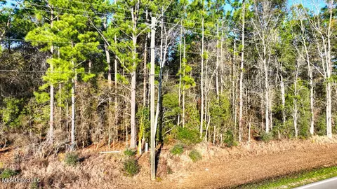 Shipman Road, Lucedale, MS 39452 photo 6