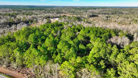 Shipman Road, Lucedale, MS 39452 photo 5