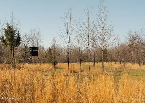 2166 W W Marks Rd, Marks, MS 38646
