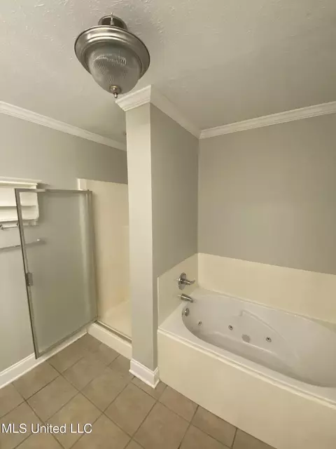 Bath - 401 Edgewater Branch Dr, Brandon, MS 39042 photo 3 of 3