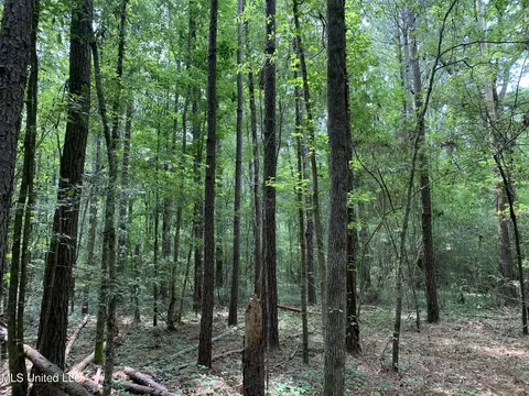 0 Highway 43, Mendenhall, MS 39114 photo 7