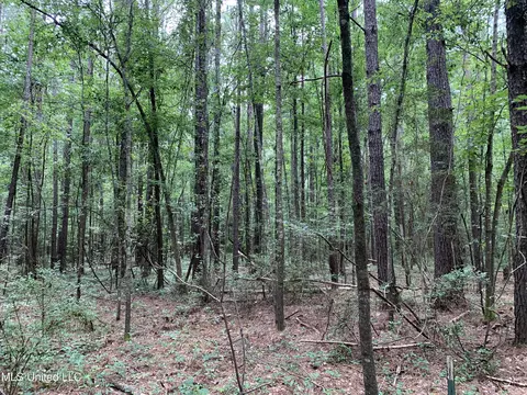 0 Highway 43, Mendenhall, MS 39114 photo 5