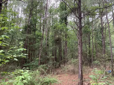 0 Highway 43, Mendenhall, MS 39114 photo 4