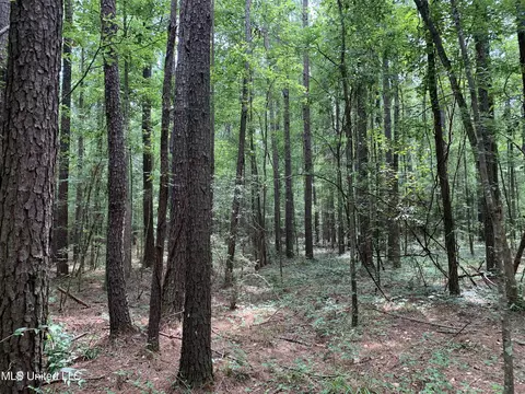 0 Highway 43, Mendenhall, MS 39114 photo 6