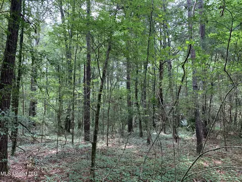 0 Highway 43, Mendenhall, MS 39114 photo 10