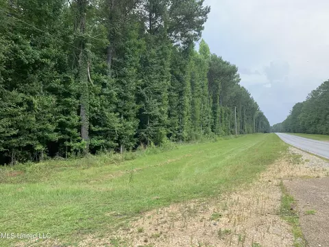 0 Highway 43, Mendenhall, MS 39114 photo 3